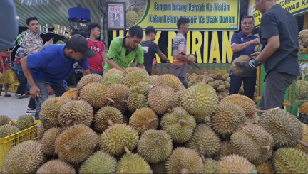 Indonesia Siap Ekspor Durian ke China, Ancam Dominasi Thailand